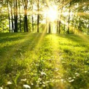 Meet your Posher, Mac